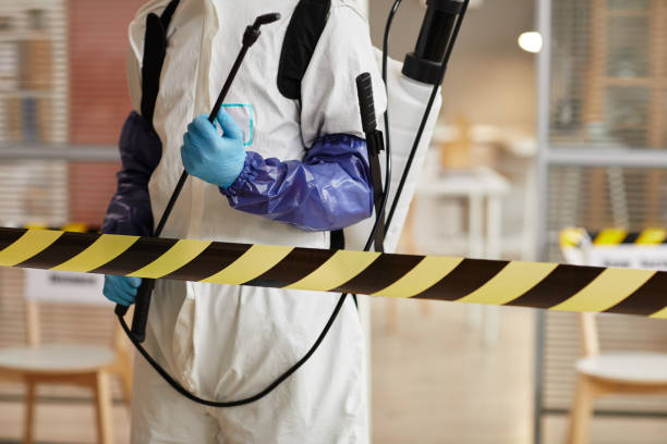 Professional Odor Removal technician working in Abingdon, IL