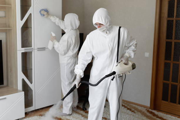 24/7 Emergency Odor Removal experts in Abingdon, IL